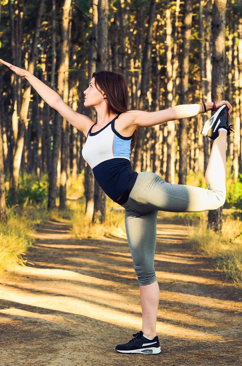 Smooth Fitness MP3 Input