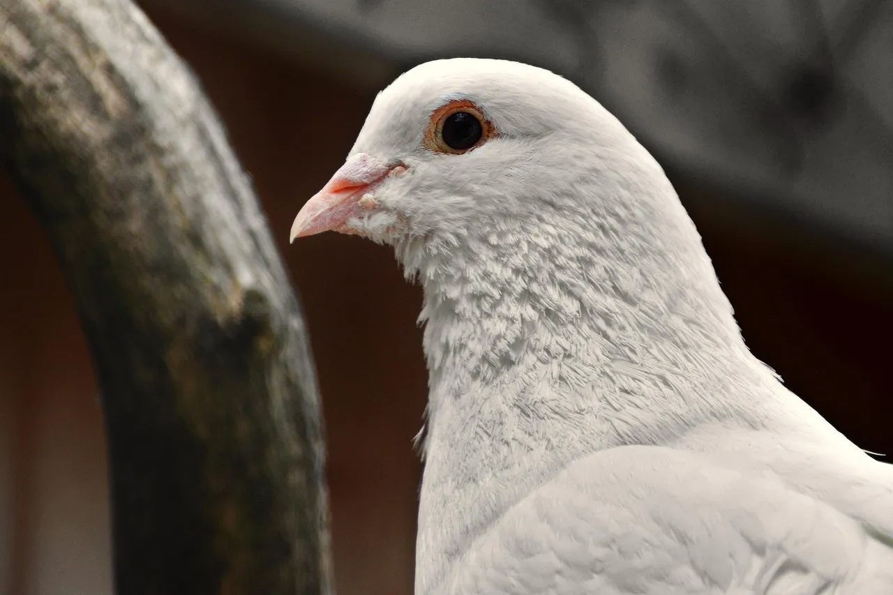 Dove #BeautyStories