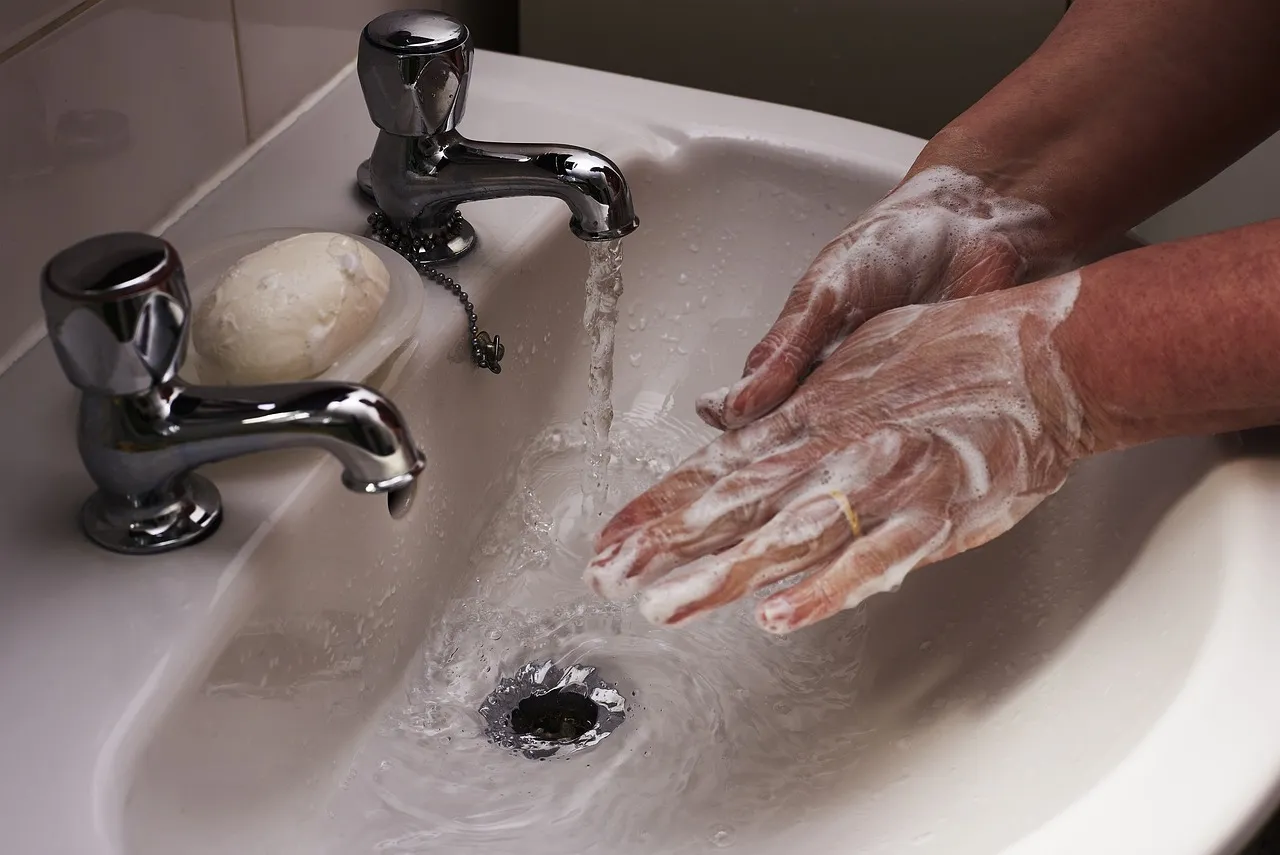 PURELL 30 Day Challenge