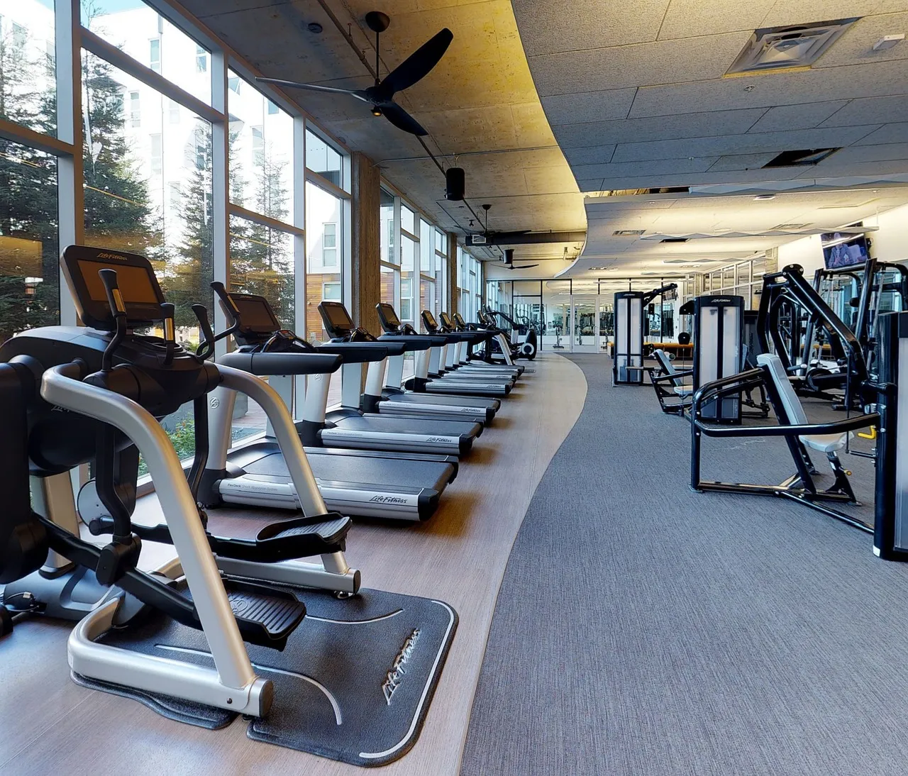 TreadmillSmooth