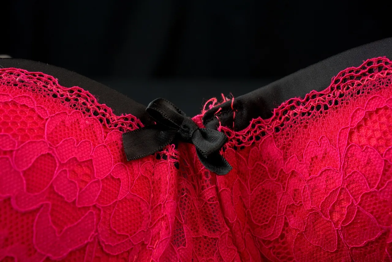 mbrielle Full-Figure Bra